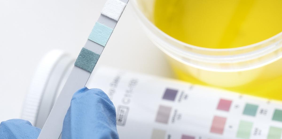 Team der Markus Kersten Hausarztpraxis Rheinsberg